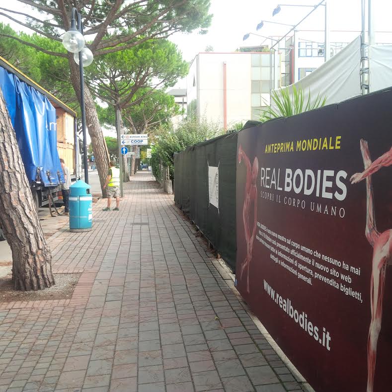 ARRIVANO I CONTAINER DI REAL BODIES, LA MOSTRA DA GUINNESS DEI PRIMATI