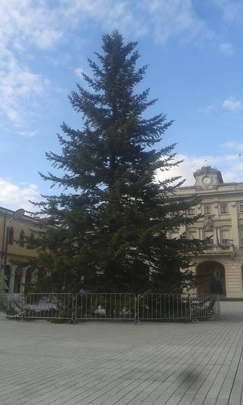 NATALINSIEME, SI ACCENDONO LE LUCI DELL’ALBERO DEI RECORD