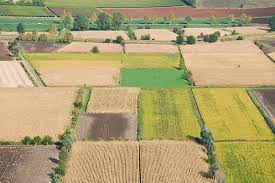 STOP AL CONSUMO DI SUOLO, APPROVATA DAL CONSIGLIO LA VARIANTE PER LE ZONE AGRICOLE