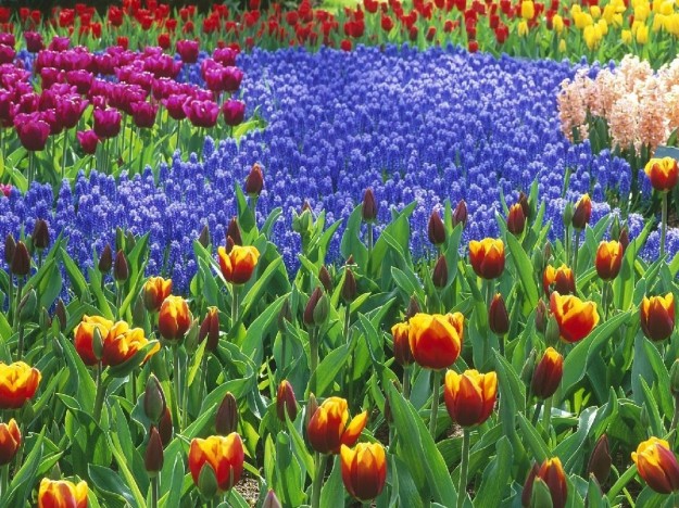 ANNIVERSARIO DELLA LIBERAZIONE E FESTA DI PRIMAVERA, IL WEEKEND SANDONATESE