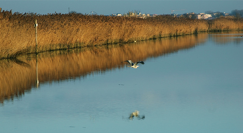 A PASSEGGIO TRA I LUOGHI DELLA BONIFICA DI CAORLE