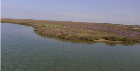 FEDERCACCIA CONTRO LA PROPOSTA DEL PARCO DELLA LAGUNA