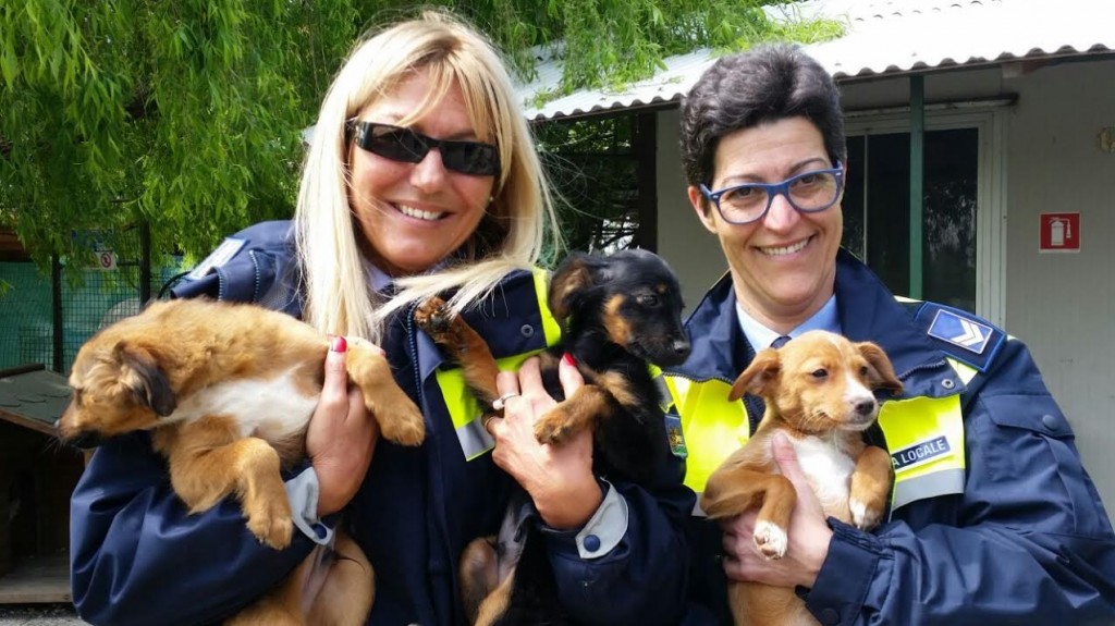 CANILE COMUNALE, CAMPAGNA PER L’ADOZIONE DEI CUCCIOLI