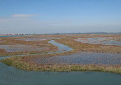 INCONTRO INFORMATIVO SULLE BARENE DI VENEZIA E SULLA BARENA DI CAMPALTO