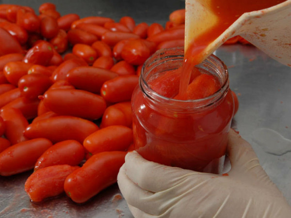 AGRICOLTURA, ASSESSORE PAN SOTTOSCRIVE PETIZIONE CONTRO I FALSI POMODORI “MADE IN ITALY”