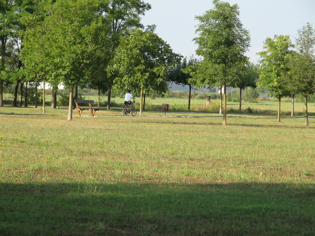 RISCOPRIRE IL PARCO-BOSCO FELLINI CON L’ASSOCIAZIONE IL PENDOLINO