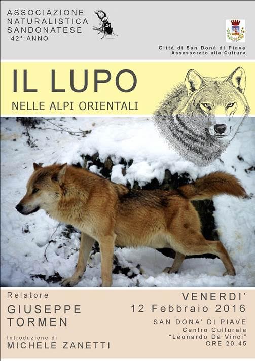 L’ASSOCIAZIONE NATURALISTICA SANDONATESE ORGANIZZA LA CONFERENZA: “IL LUPO NELLE ALPI ORIENTALI”