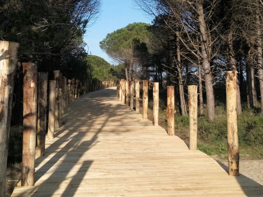 PERCORSO CICLOPEDONALE DEL FARO DI BIBIONE: LAVORI CONCLUSI ENTRO 15 GIORNI