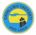 NUOVO DIRETTIVO PER LA PRO LOCO DEL COMUNE DI CAVALLINO – TREPORTI