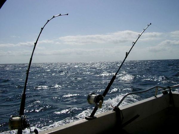 “AMICO MARE” E I RAGAZZI DISABILI ALLA SCOPERTA DELLA PESCA D’ALTURA