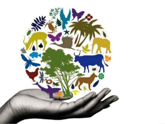 CONFERENZA COSTRUIRE LA BIODIVERSITÀ, CRONACA E METODO DI UNA STRAORDINARIA ESPERIENZA