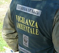 GIUNTA CREA SERVIZIO DI VIGILANZA REGIONALE. EX AGENTI PROVINCIALI E ISPETTORI REGIONALI IN UN CORPO UNICO DI POLIZIA IN CAMPO AGRICOLO, VENATORIO E AMBIENTALE