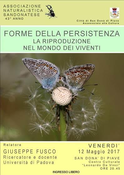 L’ASSOCIAZIONE NATURALISTICA SANDONATESE PRESENTA LA CONFERENZA “FORME DELLA PERSISTENZA” AL CENTRO CULTURALE