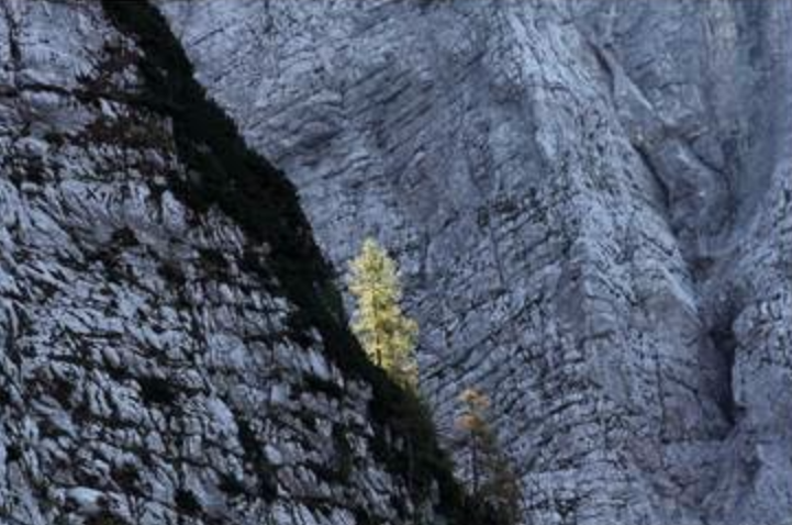 GLI APPUNTAMENTI CULTURALI DELL’ASSOCIAZIONE NATURALISTICA SANDONATESE