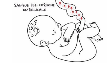 “SAI COSA SONO LE CELLULE STAMINALI E COME SI DONANO?”: A FOSSALTA LA SERATA DI SENSIBILIZZAZIONE