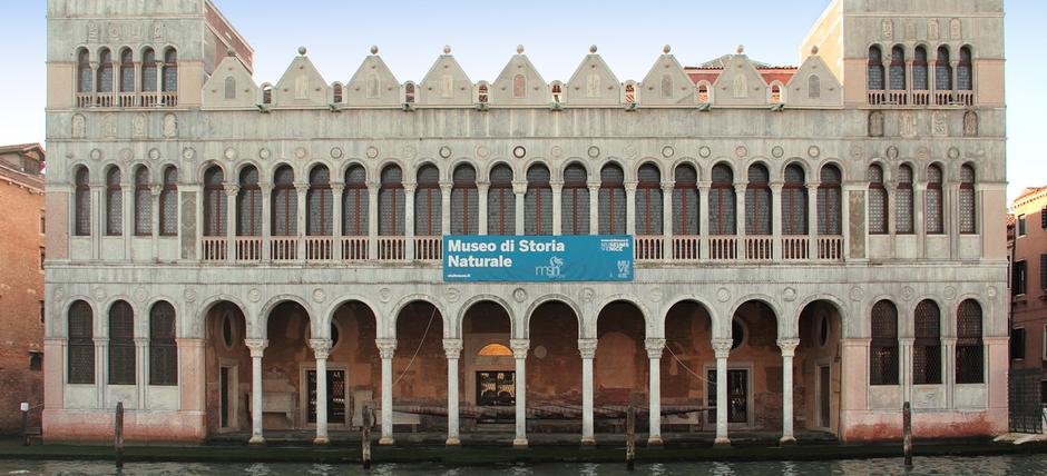 VENEZIA: DUE CONFERENZE PRESSO IL MUSEO DI STORIA NATURALE