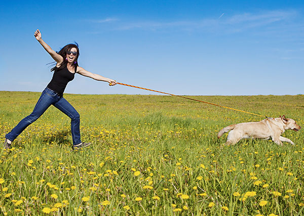 CAMMINATA CON L’AMICO A 4 ZAMPE: DOMENICA 10 MARZO UNA MATTINATA CON CAGNOLINI E APPASSIONATI DI ANIMALI LUNGO IL PIAVE