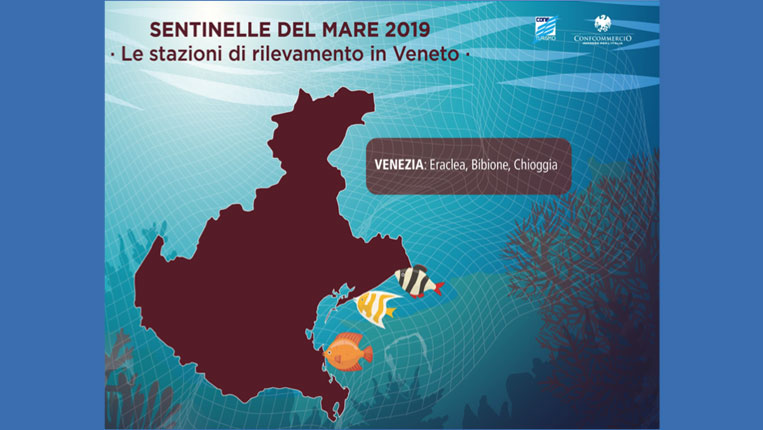 SENTINELLE DEL MARE: GRANDE PARTECIPAZIONE VENETA PER IL PROGETTO SUL MONITORAGGIO DELLE ACQUE E DELLA BIODIVERSITÀ