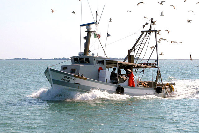 CORONAVIRUS. ASSESSORE PAN, “STUDIEREMO UN PIANO VENETO PER RILANCIARE TUTTO IL SETTORE DELLA PESCA”