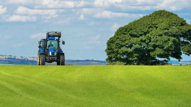 AGRICOLTURA: PAN,  “SUCCESSO DEL BANDO PER GIOVANI AGRICOLTORI, SEGNALE DI SPERANZA PER RIAVVIO DELL’ECONOMIA”