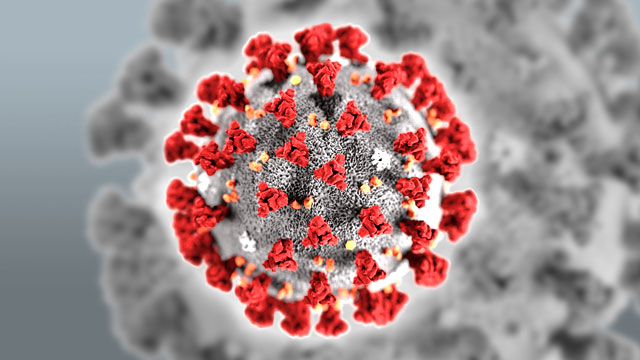 COVID. IN VENETO DUE PROGETTI PER CONOSCERE E COMBATTERE AL MEGLIO IL VIRUS. CON LA REGIONE, AL LAVORO UNIVERSITA’ DI PADOVA E ISTITUTO ZOOPROFILATTICO DELLE VENEZIE