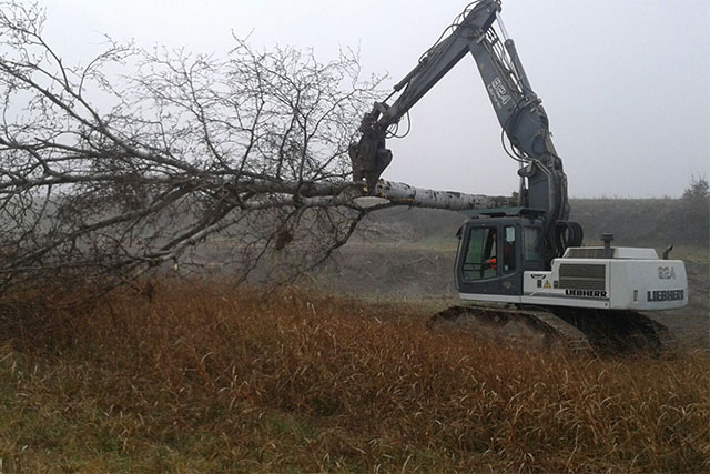 ASSESSORI CANER E CALZAVARA INCONTRANO SINDACATI: “PER LA REGIONE  INDISPENSABILE L’OPERA DEI LAVORATORI FORESTALI”