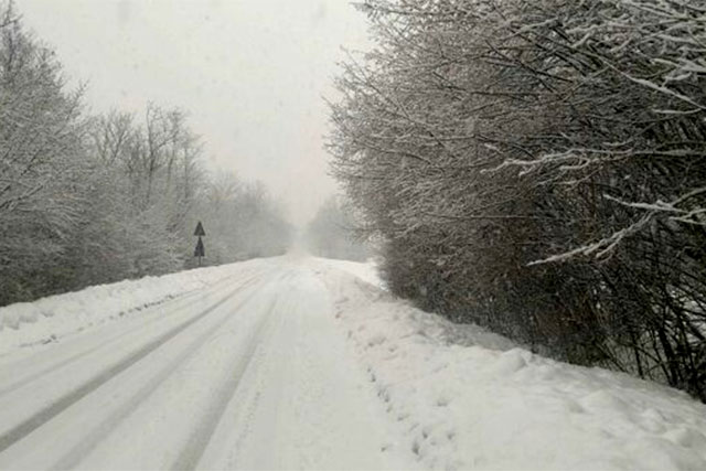 NEVE IN VENETO. ZAIA, “DANNI E DISAGI, IN CORSO PROCEDURE PER DICHIARAZIONE STATO DI CRISI”