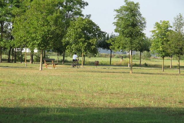 SAN DONA’ DI PIAVE: IL PARCO FELLINI E’ SICURO