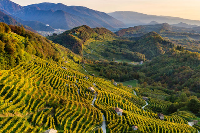 COLLINE DEL PROSECCO PATRIMONIO UNESCO. CORAZZARI:  “QUESTO RICONOSCIMENTO MONDIALE VA CONSERVATO E LA REGIONE VENETO FORNISCE CONTRIBUTI AI COMUNI PER ESSERE IN LINEA COI VALORI PAESAGGISTICI DELL’UNESCO”