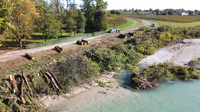 ZANONI (PD): “LA STRAGE DI ALBERI NELLE AREE GOLENALI DEL PIAVE È UN CLAMOROSO AUTOGOL. NON È COSÌ CHE SI METTE IN SICUREZZA IL TERRITORIO”