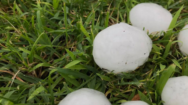 GRANDINATE NELLA PEDEMONTANA TREVIGIANA, ZAIA AVVIA LO STATO DI CRISI E LO STATO DI CALAMITA’ PER LE ATTIVITA’ AGRICOLE