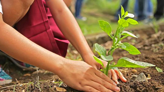 SAN DONÀ ADERISCE NUOVAMENTE AL PROGETTO “RIDIAMO IL SORRISO ALLA PIANURA PADANA”