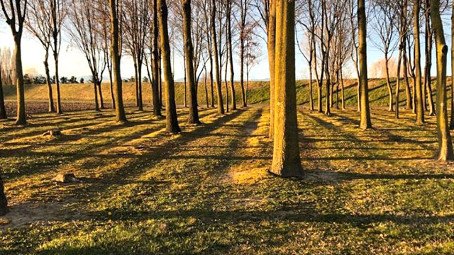 RIFORESTAZIONE URBANA: SAN DONÀ AGGIUNGE 6,70 ETTARI DI BOSCO DI QUALITÀ CONTRO IL CAMBIAMENTO CLIMATICO. NUOVE PIANTUMAZIONI E LA CREAZIONE DI PARCHI TOTALMENTE ACCESSIBILI