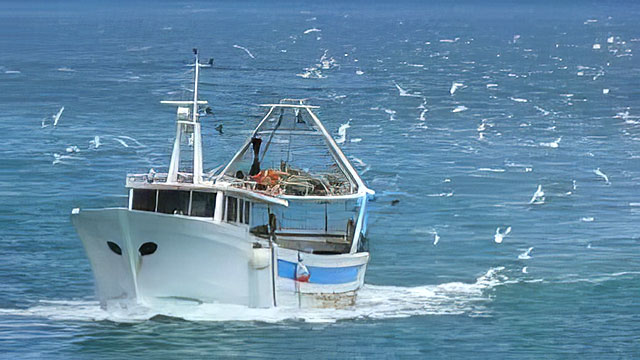 CAVALLINO TREPORTI: NASCE IL “TAVOLO AZZURRO”, CONFRONTO E SINERGIA TRA COMUNE E SETTORE DELLA PESCA LOCALE