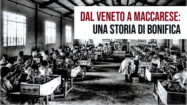 DAL VENETO A MACCARESE: UNA STORIA DI BONIFICA SI RACCONTA A SAN DONÀ DI PIAVE DAL VENETO A MACCARESE: UNA STORIA DI BONIFICA SI RACCONTA A SAN DONÀ DI PIAVE