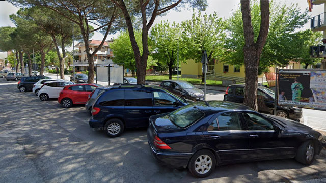 PINI MARITTIMI RIMOSSI IN VIA MARCONI A MUSILE DI PIAVE, IL SINDACO PRECISA: “PRIMA LA SICUREZZA, NON LE POLEMICHE”